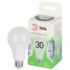 Лампочка светодиодная LED A65-30W-865-E27 GL ЭРА Лампочка светодиодная LED A65-30W-865-E27 GL ЭРА