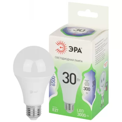 Лампочка светодиодная  LED A65-30W-865-E27 GL ЭРА