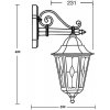 Стеклянный настенный фонарь уличный PETERSBURG lead GLASS 79802lg Bl прозрачный Oasis Light