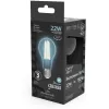 Лампочка светодиодная филаментная Filament 102902222 Gauss