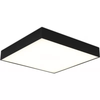 Потолочный светильник  ST608.442.48 ST Luce