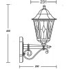 Стеклянный настенный фонарь уличный PETERSBURG lead GLASS 79801lg Bl прозрачный Oasis Light