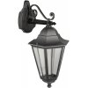 Стеклянный настенный фонарь уличный PETERSBURG ECONOM 79802E Bl прозрачный Oasis Light