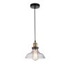 Стеклянный подвесной светильник Cascabel 1876-1P прозрачный Favourite