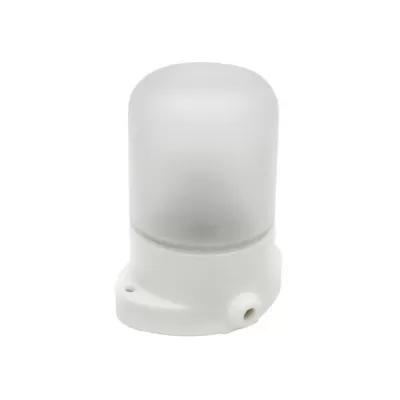 Настенно-потолочный светильник Светильник НББ 01-60-101 УХЛ1 53164 Feron