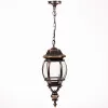 Стеклянный уличный светильник подвесной  83405L Gb прозрачный Oasis Light