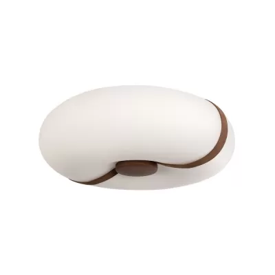 Потолочный светильник Bolina 10473 Loft It