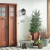 Стеклянный настенный фонарь уличный Tangier KL-TANGIER2-M прозрачный конус Kichler