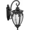 Стеклянный настенный фонарь уличный VERONA 86202 Bl прозрачный Oasis Light Стеклянный настенный фонарь уличный VERONA 86202 Bl прозрачный Oasis Light