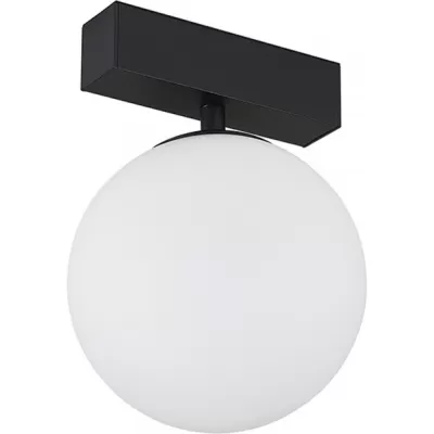 Трековый светильник Bubble DL18794WW10BM форма шар