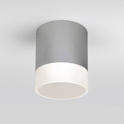 Потолочный светильник уличный Light LED 35140/H серый Elektrostandard