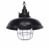 Стеклянный подвесной светильник Proddi LDP 11687 BK цилиндр прозрачный Lumina Deco