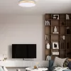Потолочный светильник Flims 10228/B белый Loft It