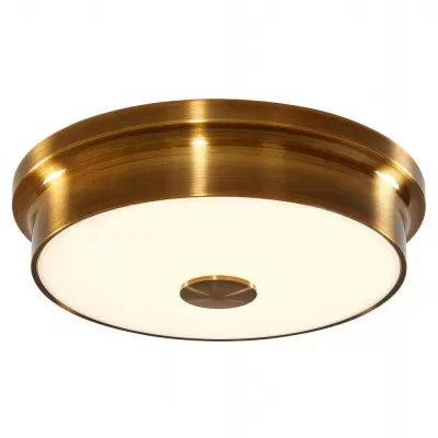 Точечный светильник Фостер-2 CL706222 Citilux