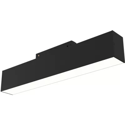Трековый светильник Basis TR074-2-12W3K-B Maytoni