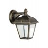 Стеклянный настенный фонарь уличный  W2612S Gb прозрачный Oasis Light