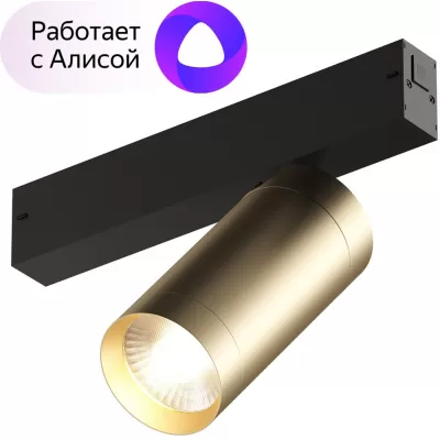 Трековый светильник Smart Spot DK8020-BG Denkirs дания