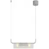 Стеклянный подвесной светильник Toronto 8258/2 прозрачный цилиндр Lumion