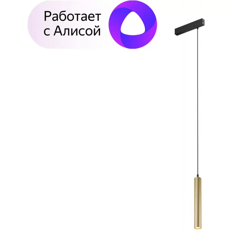 Трековый светильник Smart Spot DK8008-BG цилиндр цвет золото Denkirs Трековый светильник Smart Spot DK8008-BG цилиндр цвет золото Denkirs