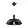 Подвесной светильник Эдисон CL450204 черный Citilux Подвесной светильник Эдисон CL450204 черный Citilux