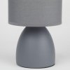 Интерьерная настольная лампа Nadine 7042-501 цилиндр серый Rivoli