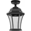 Стеклянный потолочный светильник уличный ASTORIA 1 L 91305LA Bl прозрачный Oasis Light