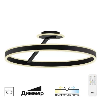 Потолочная люстра Дуэт CL719761 Citilux