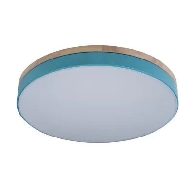 Потолочный светильник Axel 10001/36 Blue Loft It круглый