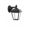 Стеклянный настенный фонарь уличный  W2612S Bl прозрачный Oasis Light