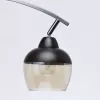 Стеклянная потолочная люстра Тетро 673015903 форма шар прозрачная MW-Light