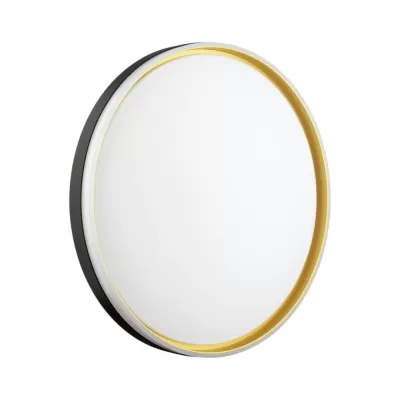 Настенно-потолочный светильник Savi 7619/ELN Sonex