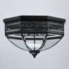 Стеклянный потолочный светильник уличный Корсо 801010806 прозрачный Chiaro