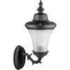 Стеклянный настенный фонарь уличный ELBA 86401/15 Bl Oasis Light