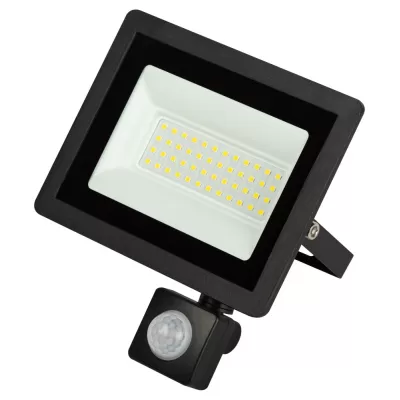 Прожектор уличный LPR-04 LPR-042-2-65K-050 ЭРА