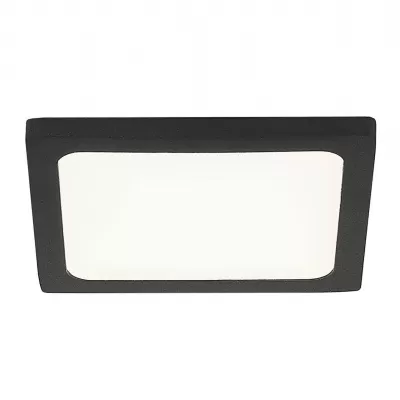 Точечный светильник Омега CLD50K082 Citilux
