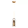 Стеклянный подвесной светильник Heragon LOFT2566-D прозрачный Loft It