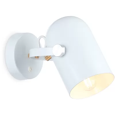 Спот TRADITIONAL TR8202 Ambrella