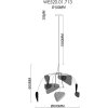 Подвесной светильник Palma WE520.01.713 Wertmark