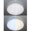 Потолочный светильник LED LED LAMPS 81105 белый Natali Kovaltseva