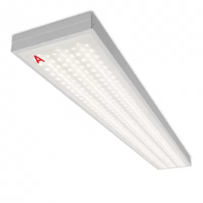 Светодиодная панель STD ДПО11-54-142-4К Wolta Светодиодная панель STD ДПО11-54-142-4К Wolta