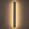 Настенный светильник Тринити CL238660 Citilux Настенный светильник Тринити CL238660 Citilux