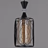 Стеклянный подвесной светильник  05366-0.9-03 BK черный