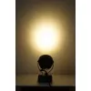 Стеклянный грунтовый светильник  W77169 Gr прозрачный Oasis Light