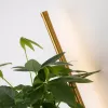 Бра Greenery 4050-2W белое Favourite