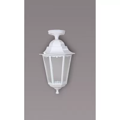 Потолочный светильник уличный PETERSBURG M 79805MA W Oasis Light