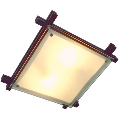 Настенно-потолочный светильник Edison 48324-2 Globo