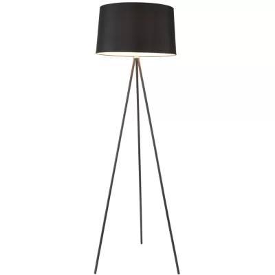 Торшер Bonita FR5152-FL-01-B Freya