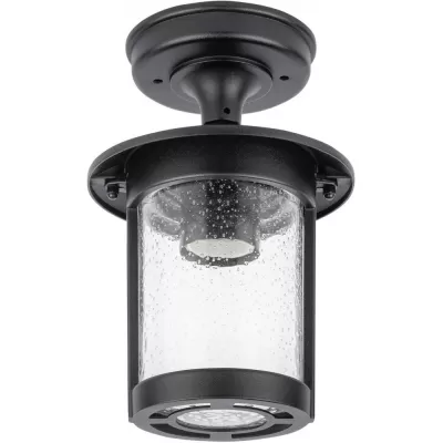 Потолочный светильник уличный CORDOBA 18205A Bl Oasis Light