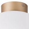 Стеклянный потолочный светильник Globo 812033 белый форма шар Lightstar