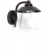 Стеклянный настенный фонарь уличный CATE 2642 R прозрачный Oasis Light